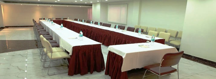 1251/Hotel Ramhan Palace Mahipalpur - New Delhi 03.jpg